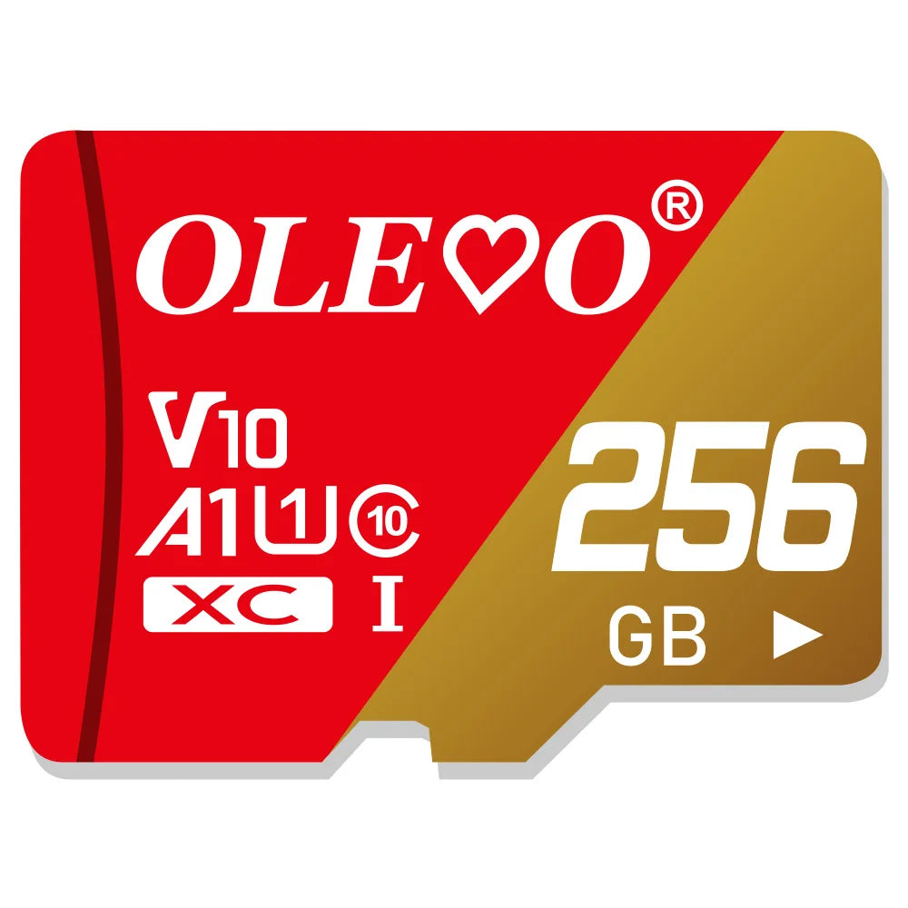 Carte Mémoire Micro SD | Class 10 U1 V10 A1, 4–512 Go, Smartphone Caméra Dashcam Drone – CLEVI Paris