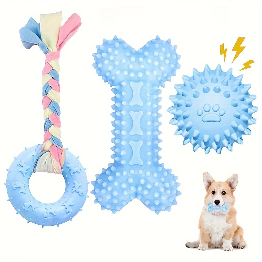 Jouets à mâcher pour chiot, lot de 3 – CLEVI Paris
