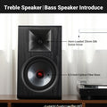 Enceintes Bibliothèque HiFi Passives 6,5" – Tweeter Soie, Woofer Fibre Carbone | AIYIMA P600