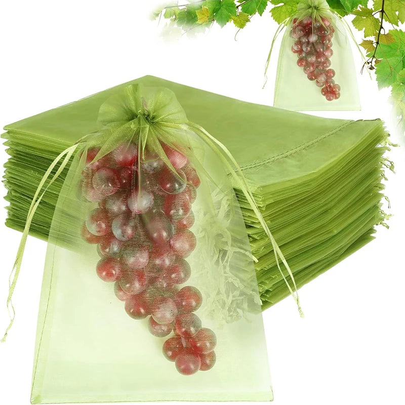 Filets de Protection Fruits & Plantes – Anti-Insectes, Réutilisables, Lot de 10 – CLEVI Paris