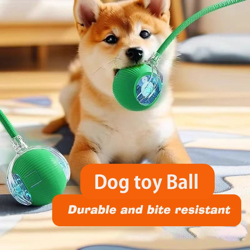 Balle Interactive Automatique Chien & Chat | Rechargeable USB-C, 3 Modes, Plastique & Silicone – CLEVI Paris