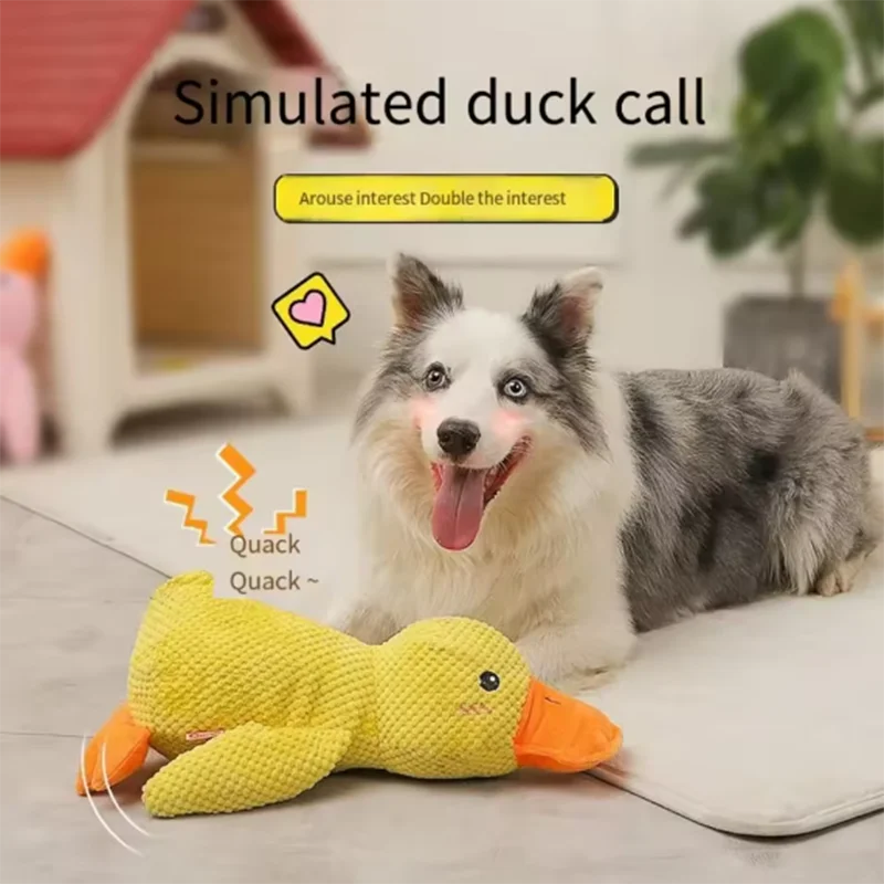 Peluche Canard Jouet pour Chien | Polaire, Couinant, Anti-Ennui – CLEVI Paris