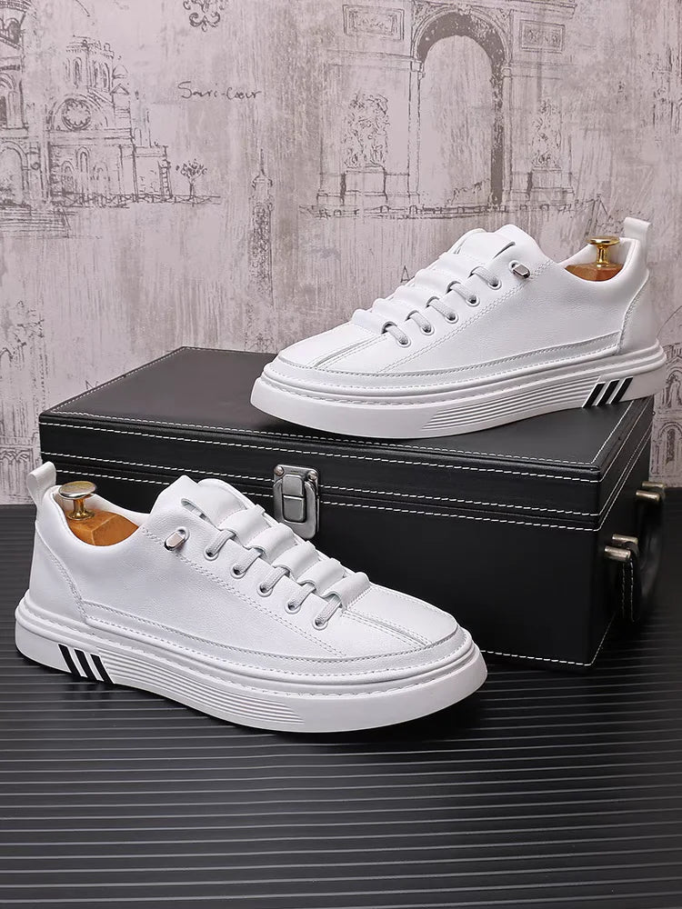 Sneakers Imprimé Fashion Homme Bleu & Blanc – Tailles 38-44 – CLEVI Paris