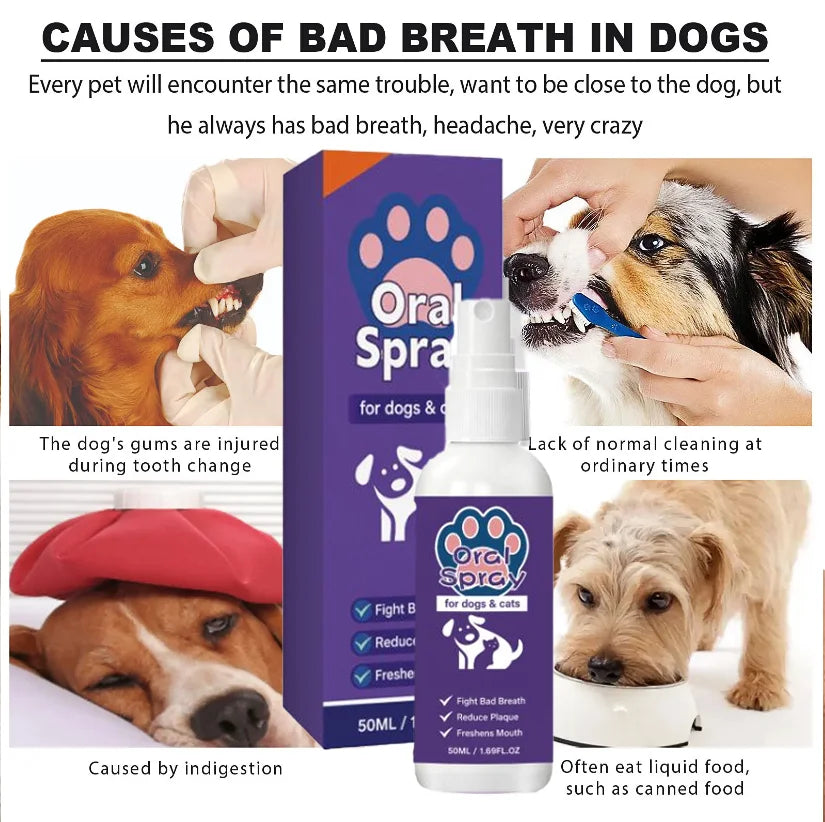 Spray bucco-dentaire pour chiens et chats – CLEVI Paris