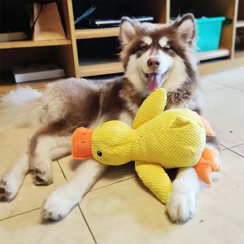 Peluche Canard Jouet pour Chien | Polaire, Couinant, Anti-Ennui – CLEVI Paris