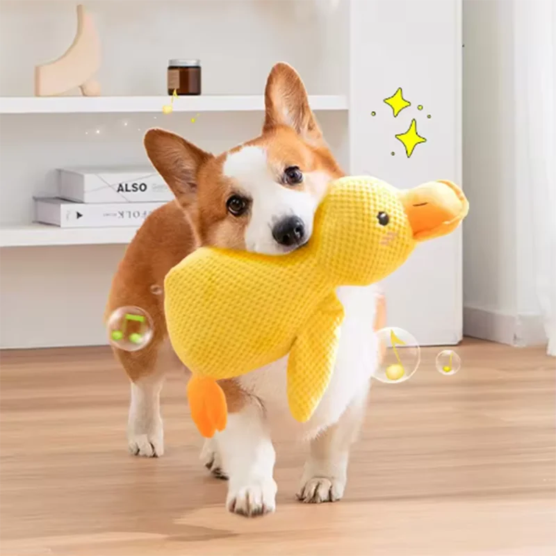 Peluche Canard Jouet pour Chien | Polaire, Couinant, Anti-Ennui – CLEVI Paris