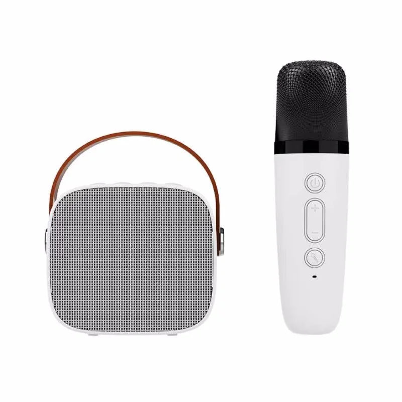 Machine Karaoké Bluetooth KTV – 1 ou 2 Micros Sans Fil, HiFi 3D, LED, Enfants & Adultes
