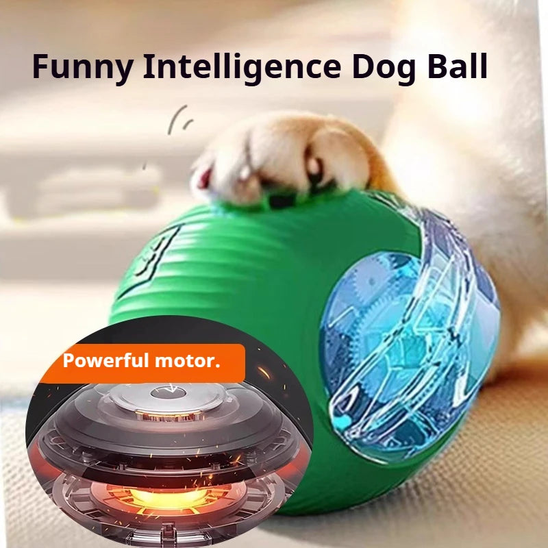Balle Interactive Automatique Chien & Chat | Rechargeable USB-C, 3 Modes, Plastique & Silicone – CLEVI Paris
