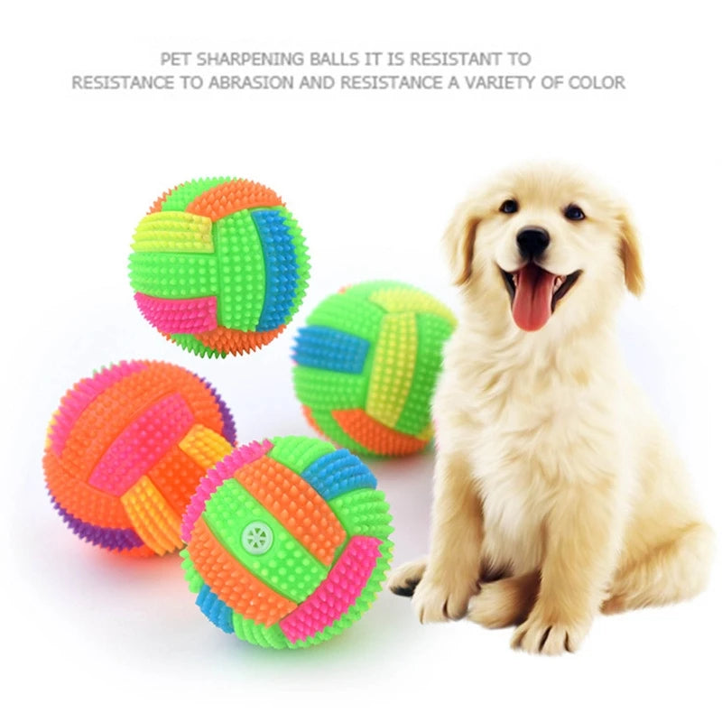Balle lumineuse pour chien en caoutchouc – CLEVI Paris