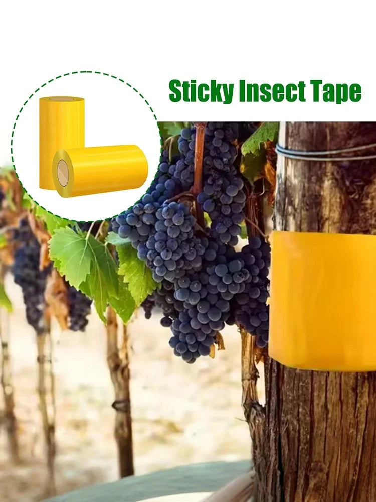 Ruban Piège Anti-Insectes Double Face – Fourmis, Mites, Insectes – Jardin Extérieur