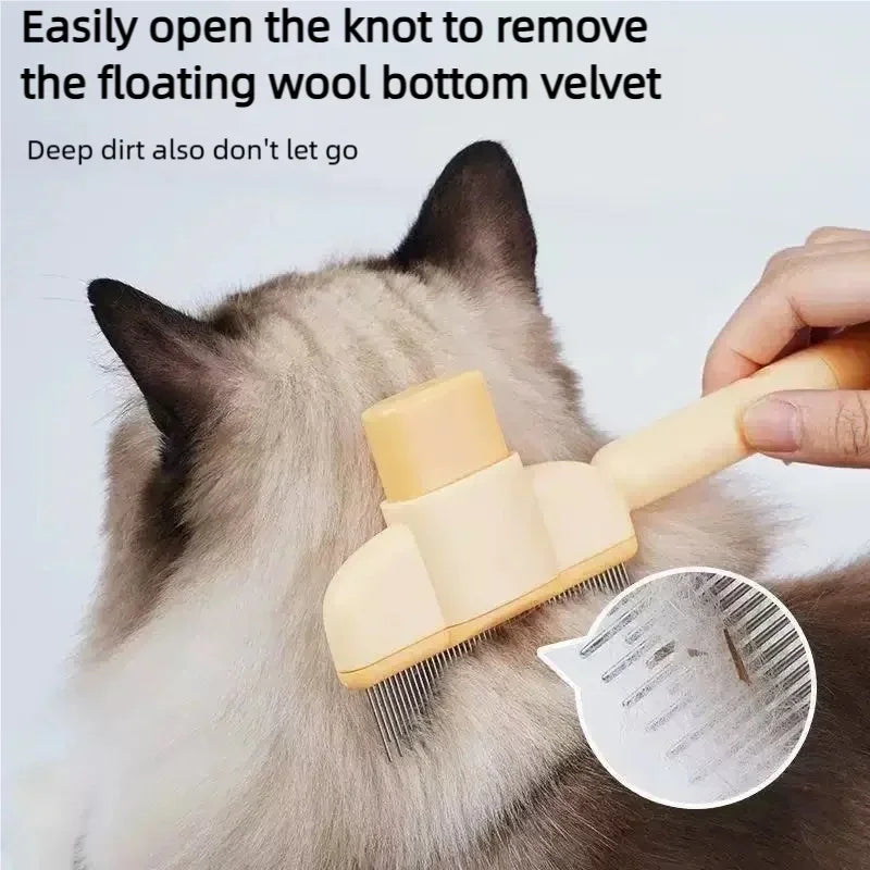 Coupe-ongles pour chien et chat avec LED – CLEVI Paris