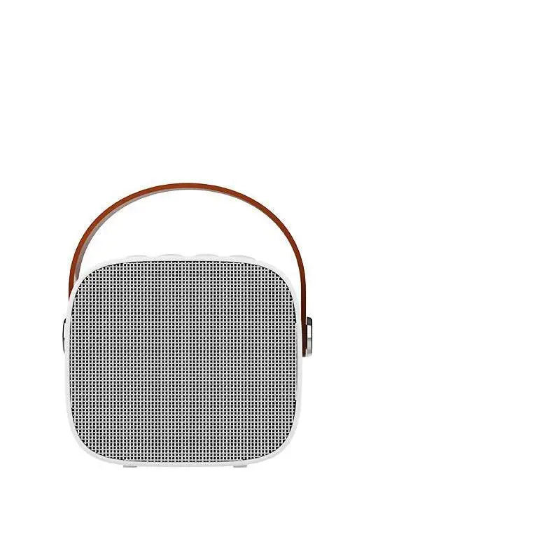 Machine Karaoké Portable Bluetooth 5.0 Micro Sans Fil Enfants & Adultes – CLEVI Paris