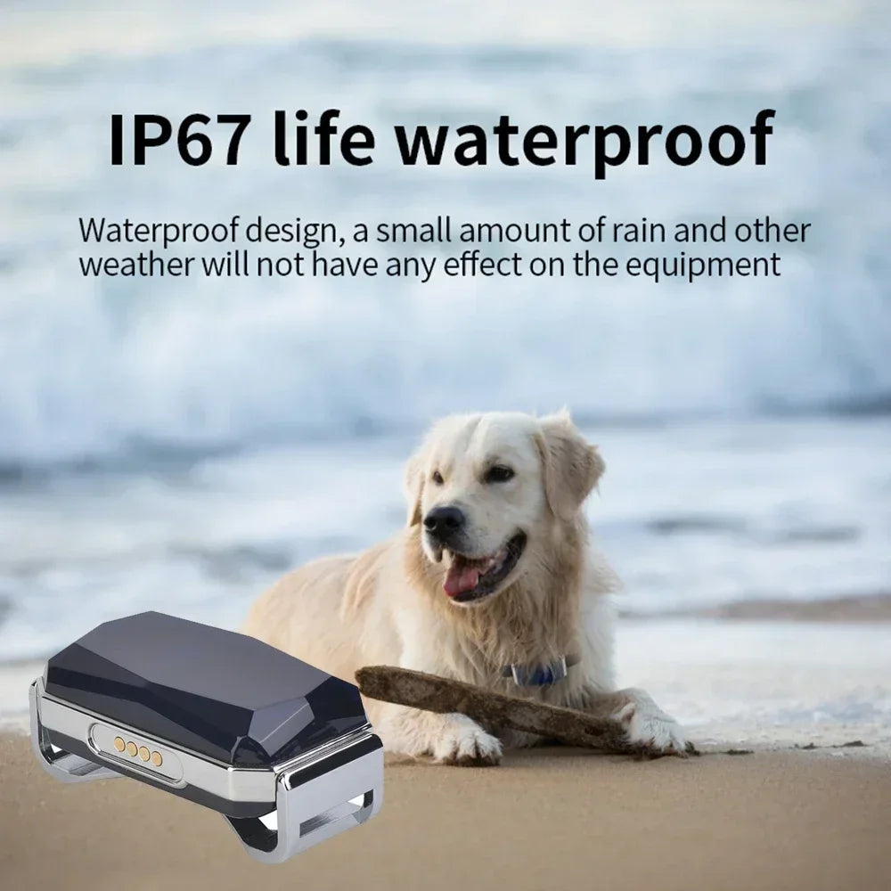 Traceur GPS Animaux DUTRIEUX G12 IP67 Chien Chat Collier Intelligent – CLEVI Paris