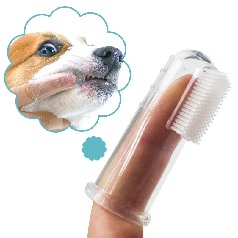Brosse à Doigt pour Chien & Chat – Nettoyage Dentaire Doux – CLEVI Paris