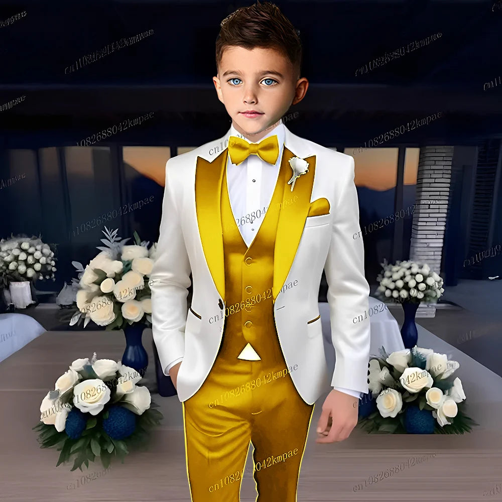 Costume 3 Pièces Garçon Mariage Cérémonie Blazer Gilet Pantalon 13 Coloris – CLEVI Paris