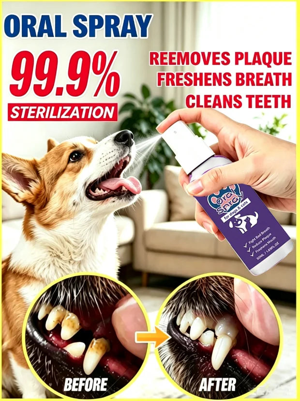 Spray bucco-dentaire pour chiens et chats – CLEVI Paris