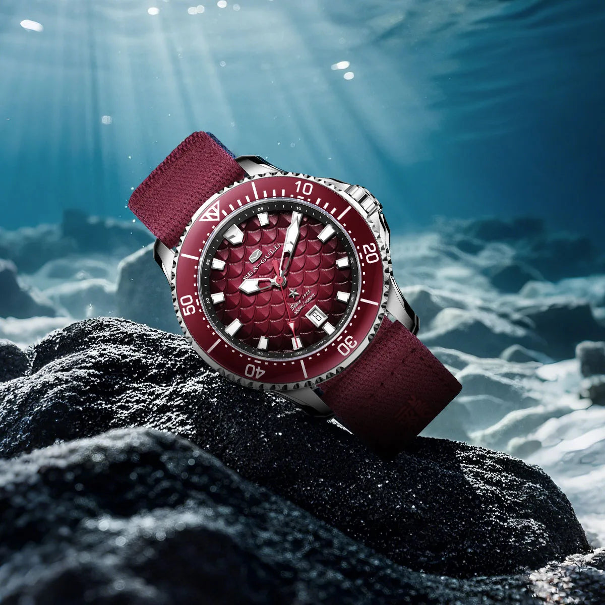 Montre Homme Sea-Gull 1216 – Automatique Plongeuse, Verre Saphir, Étanche 300M, Édition Dragon