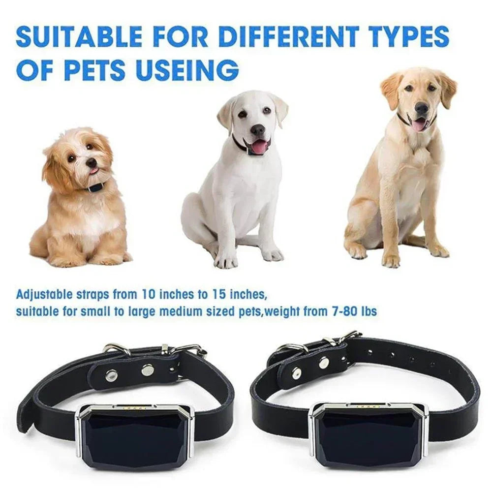 Traceur GPS Animaux DUTRIEUX G12 IP67 Chien Chat Collier Intelligent – CLEVI Paris