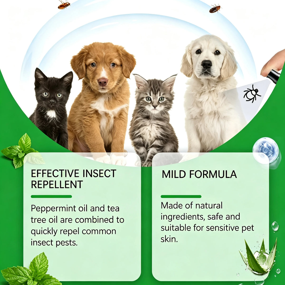 Spray anti-puces pour chiens et chats – CLEVI Paris
