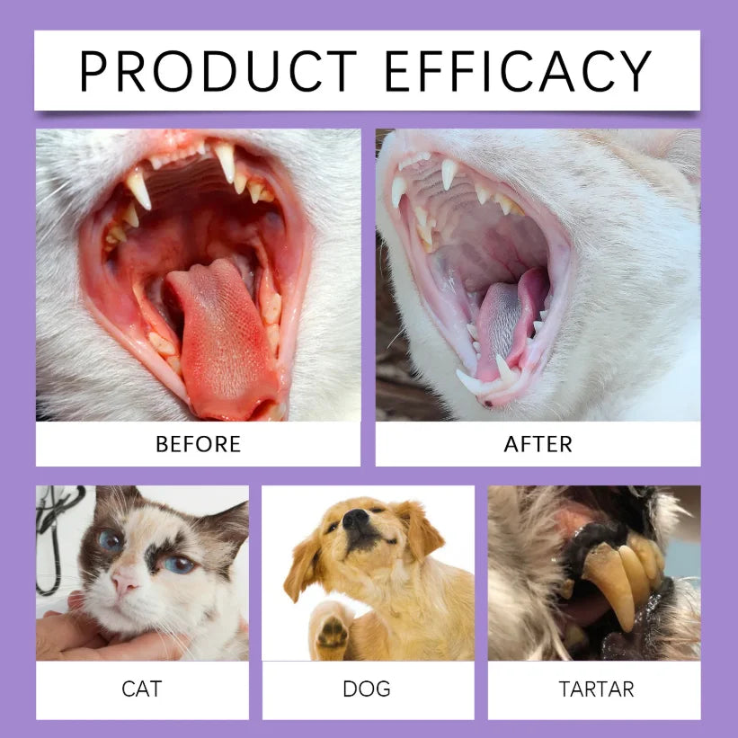Spray bucco-dentaire chiens & chats – CLEVI Paris