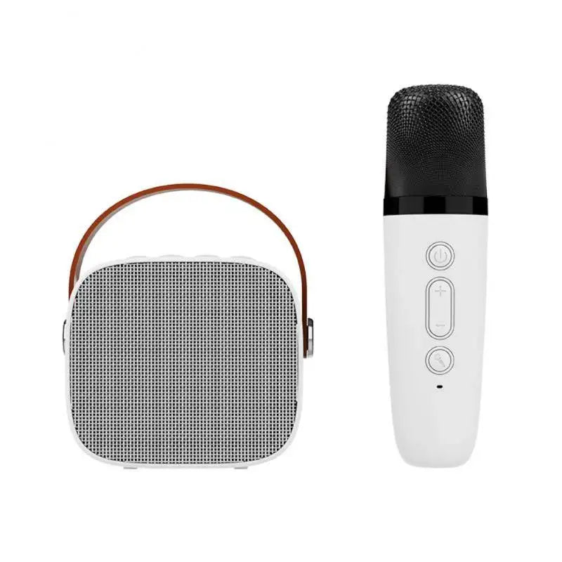 Machine Karaoké Portable Bluetooth Enceinte & 1-2 Micros Sans Fil – CLEVI Paris