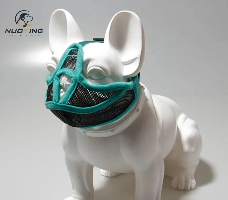 Muselière respirante pour chien à museau court – CLEVI Paris