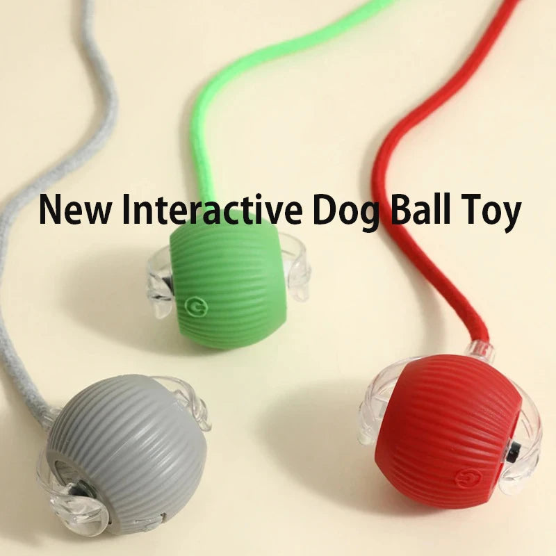 Balle Interactive Automatique Chien & Chat | Rechargeable USB-C, 3 Modes, Plastique & Silicone – CLEVI Paris