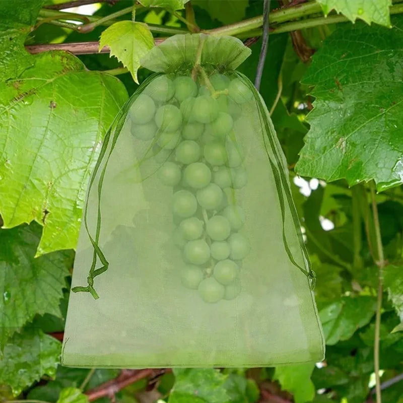 Filets de Protection Fruits & Plantes – Anti-Insectes, Réutilisables, Lot de 10 – CLEVI Paris
