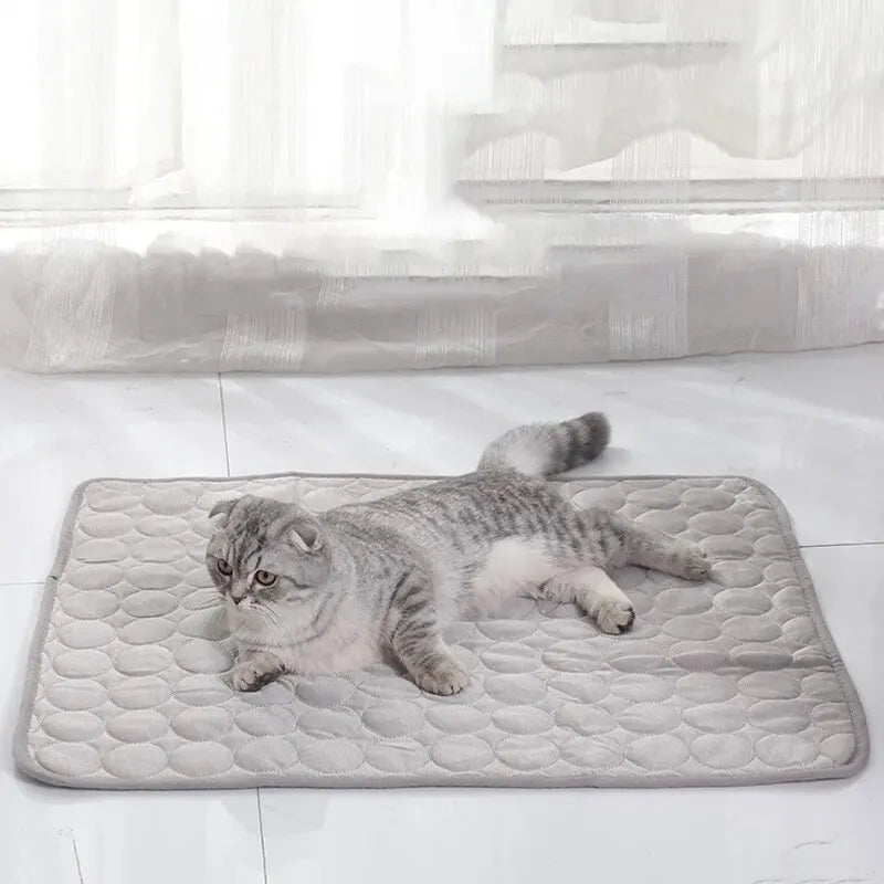 Tapis Rafraîchissant Été Chien Chat Soie Glacée Lavable 40x30 & 50x40cm – CLEVI Paris