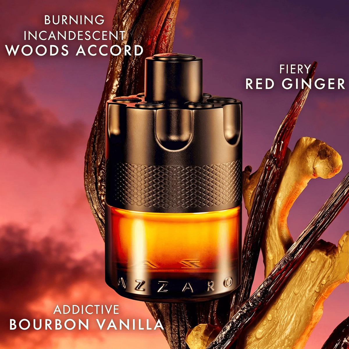 Parfum boisé sans alcool pour homme – CLEVI Paris