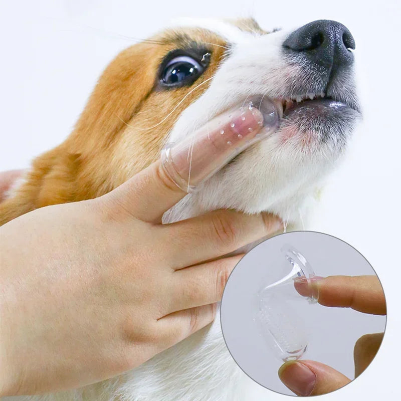 Brosse à Doigt pour Chien & Chat – Nettoyage Dentaire Doux – CLEVI Paris
