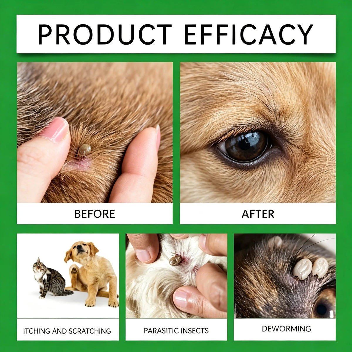 Spray anti-puces pour chiens et chats – CLEVI Paris