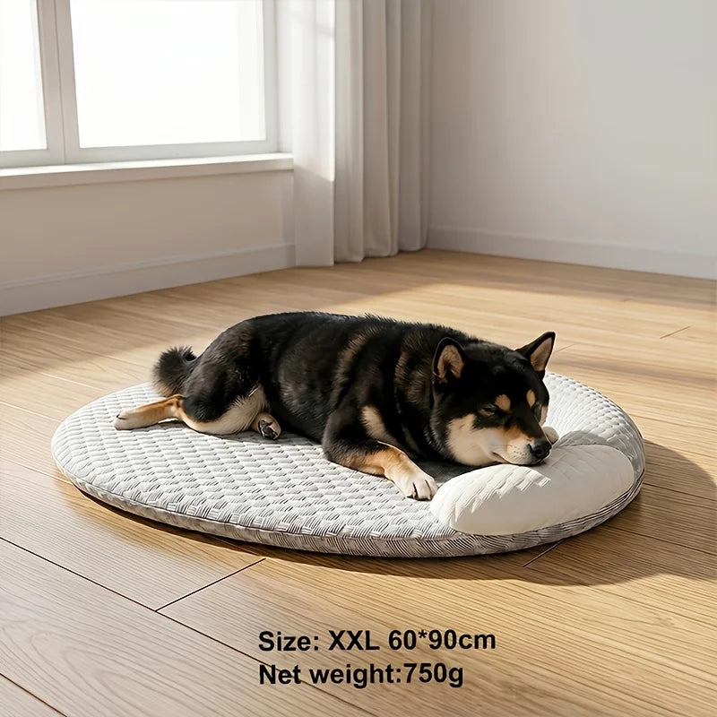 Tapis rafraîchissant pour chien et chat – CLEVI Paris