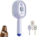 Brosse Massage Électrique 3-en-1 Spray Hydratant Cuir Chevelu Rechargeable – CLEVI Paris