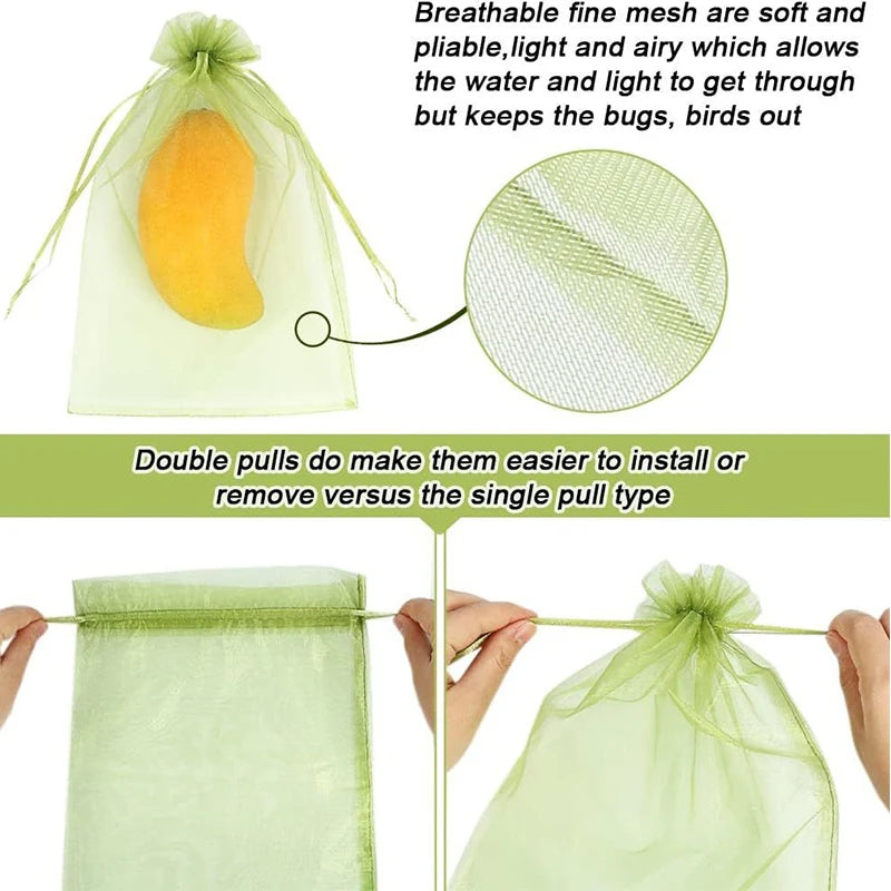 Filets de Protection Fruits & Plantes – Anti-Insectes, Réutilisables, Lot de 10 – CLEVI Paris