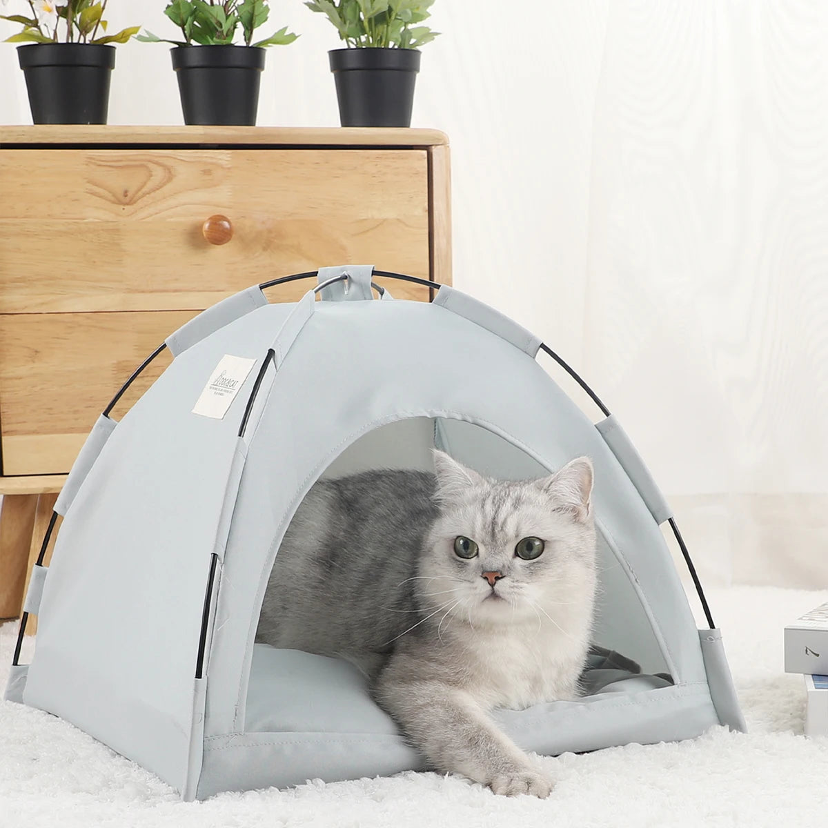 Tente douillette pour chat et chien – CLEVI Paris