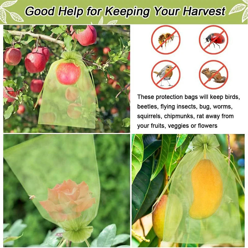 Filets de Protection Fruits & Plantes – Anti-Insectes, Réutilisables, Lot de 10 – CLEVI Paris