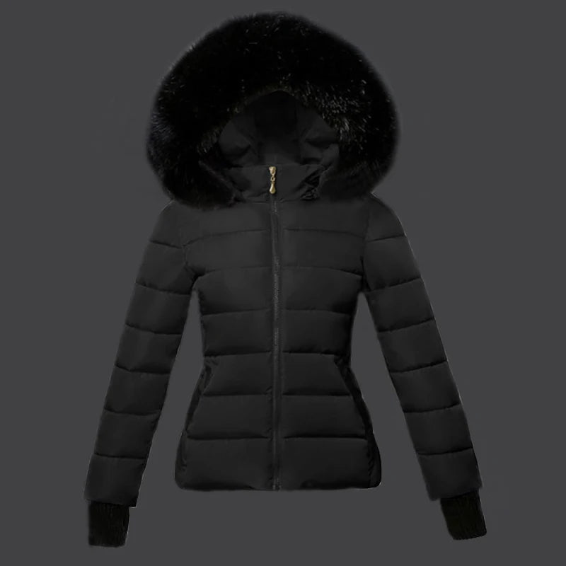 Parka Femme Coton Capuche Col Fourrure Slim Hiver XS-XXL – CLEVI Paris