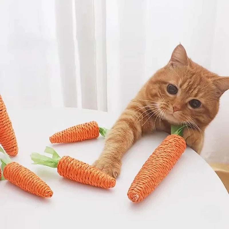 Jouet Chat Carotte Sonore Anti-Morsure — CLEVI Paris
