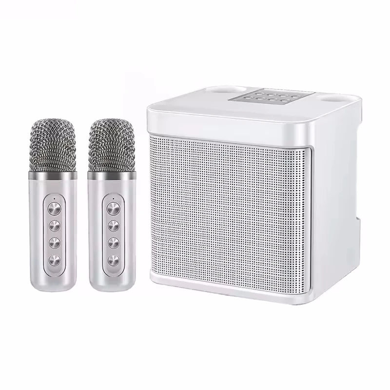 AyeBeau Enceinte Karaoké Bluetooth 5.3 10W 2 Micros Live Streaming – CLEVI Paris