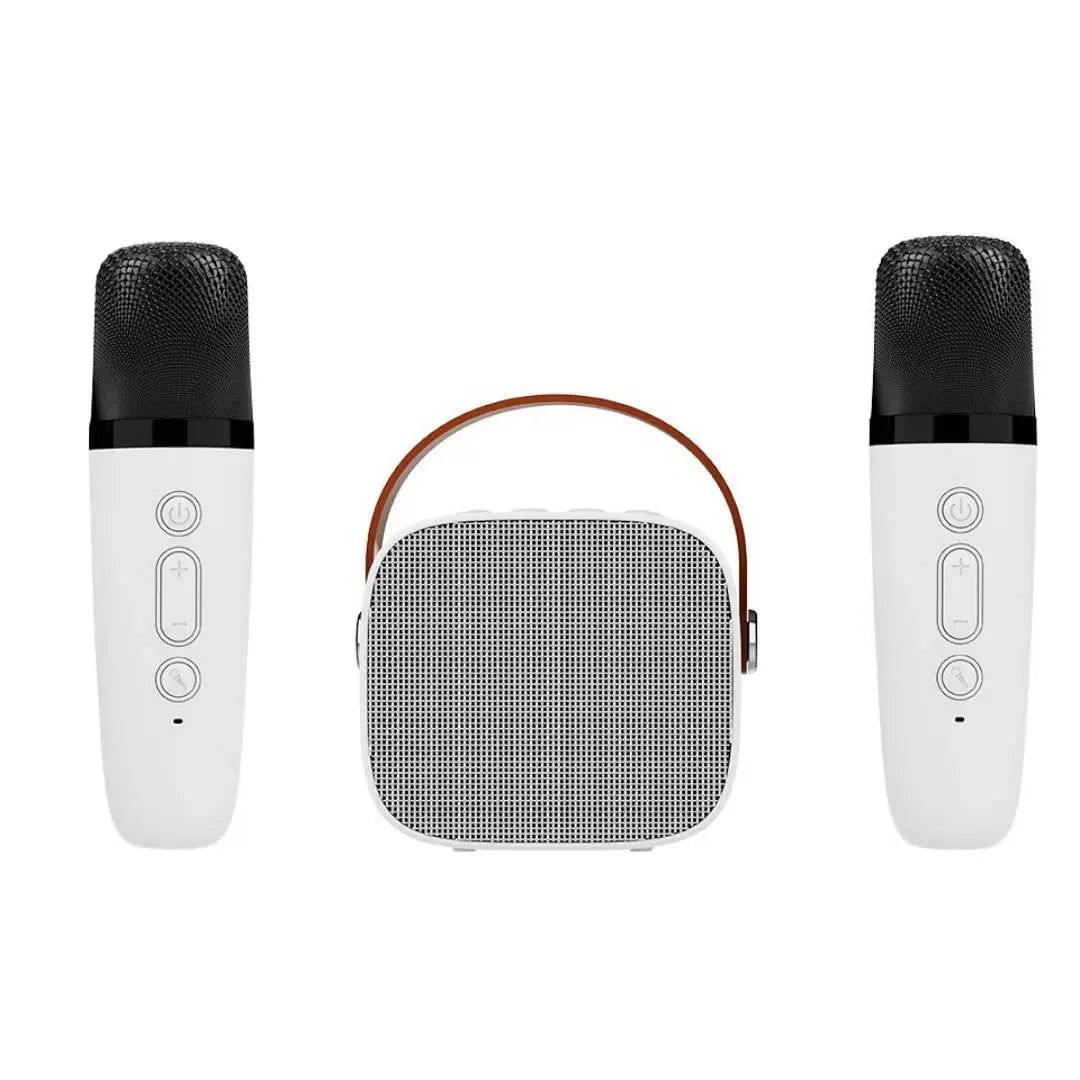 Machine Karaoké Portable Bluetooth 5.0 Micro Sans Fil Enfants & Adultes – CLEVI Paris
