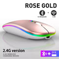 Souris Bluetooth Sans Fil HXSJ — Double Mode 2.4GHz, RGB, 1600 DPI, Rechargeable, PC & Mac | CLEVI Paris