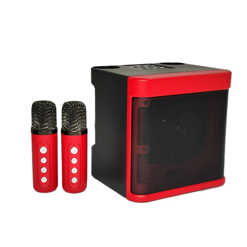 Enceinte Karaoké Bluetooth 20W – 2 Micros Sans Fil Inclus, Basse, 6h | Newmsnr