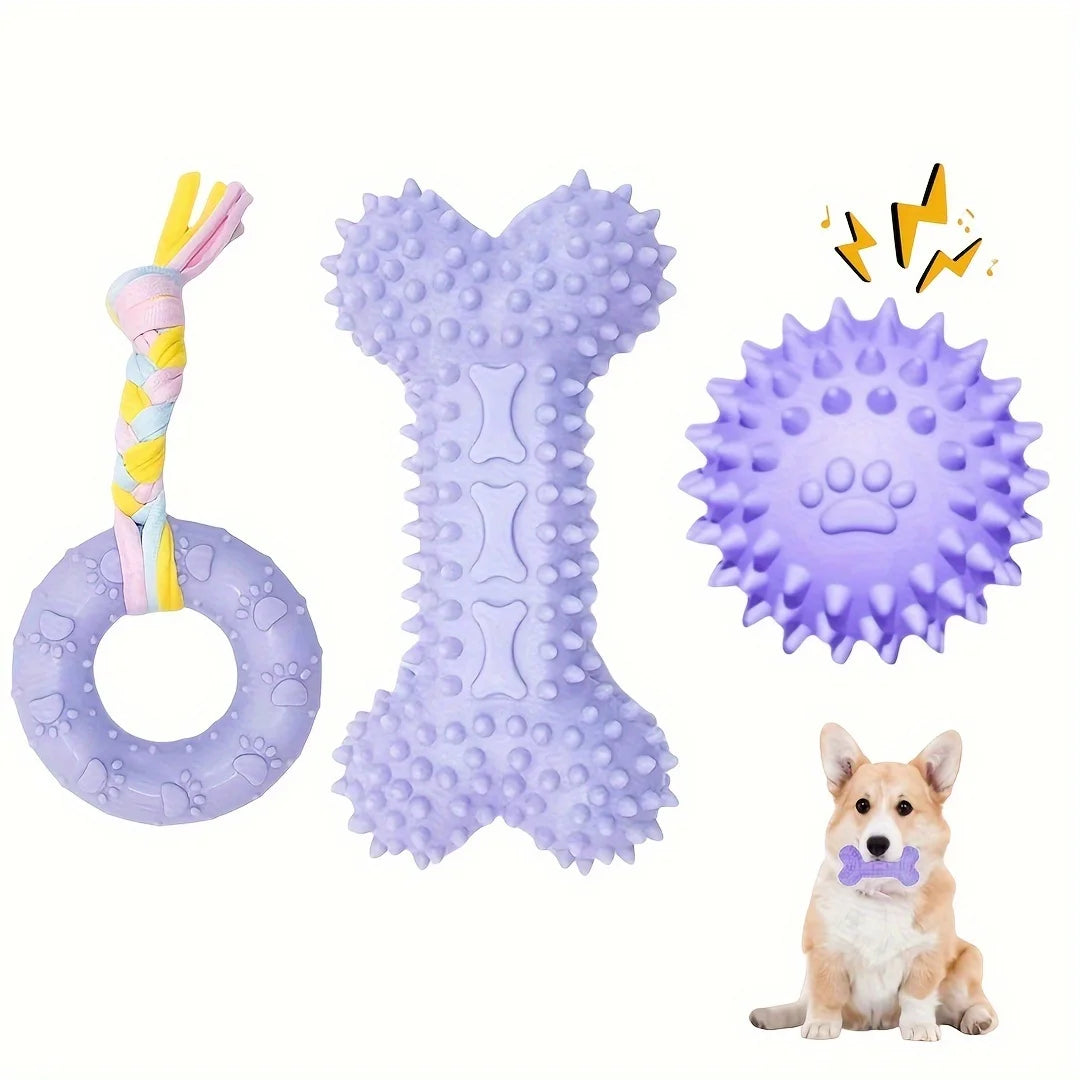 Jouets à mâcher pour chiot, lot de 3 – CLEVI Paris