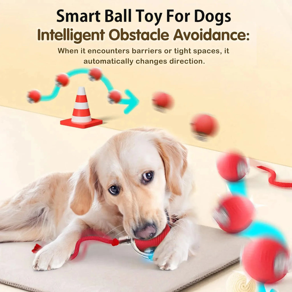 Balle Interactive Automatique Chien & Chat | Rechargeable USB-C, 3 Modes, Plastique & Silicone – CLEVI Paris