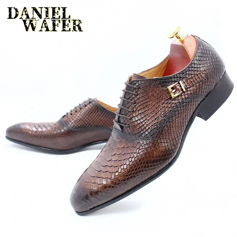 Oxford Homme Cuir Imprimé Serpent Bout Pointu Lacets Business Mariage 4 Coloris – CLEVI Paris