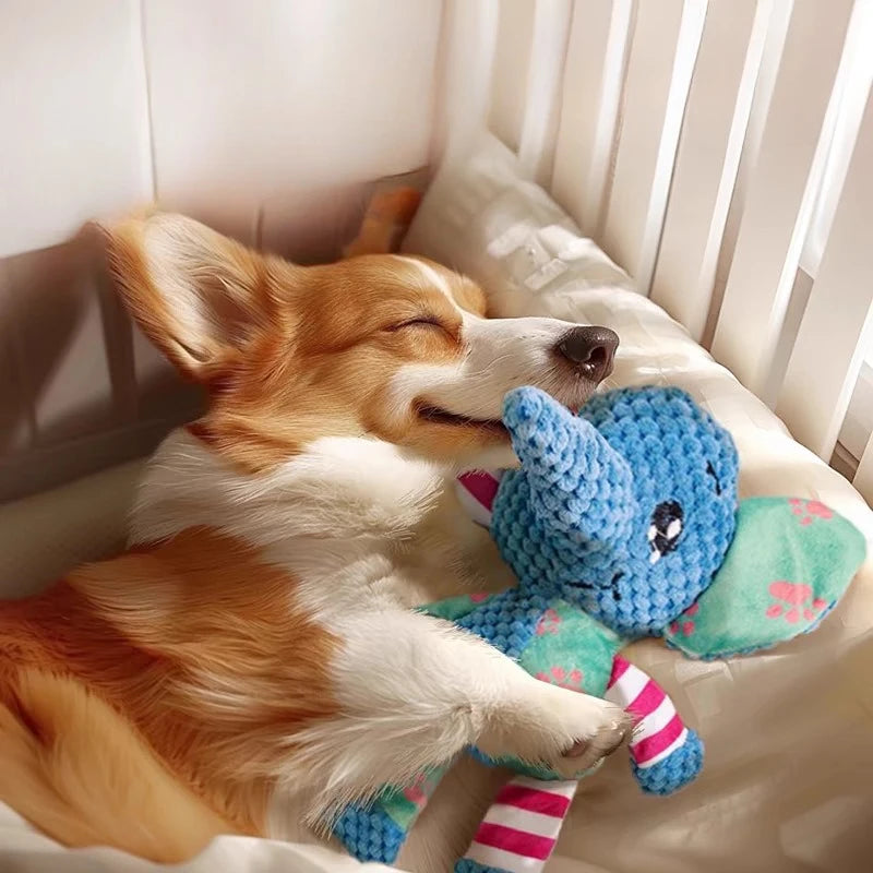 Jouet pour Chien – Peluche Animale Résistante & Interactive – CLEVI Paris