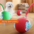 Balle Interactive Automatique Chien & Chat | Rechargeable USB-C, 3 Modes, Plastique & Silicone – CLEVI Paris