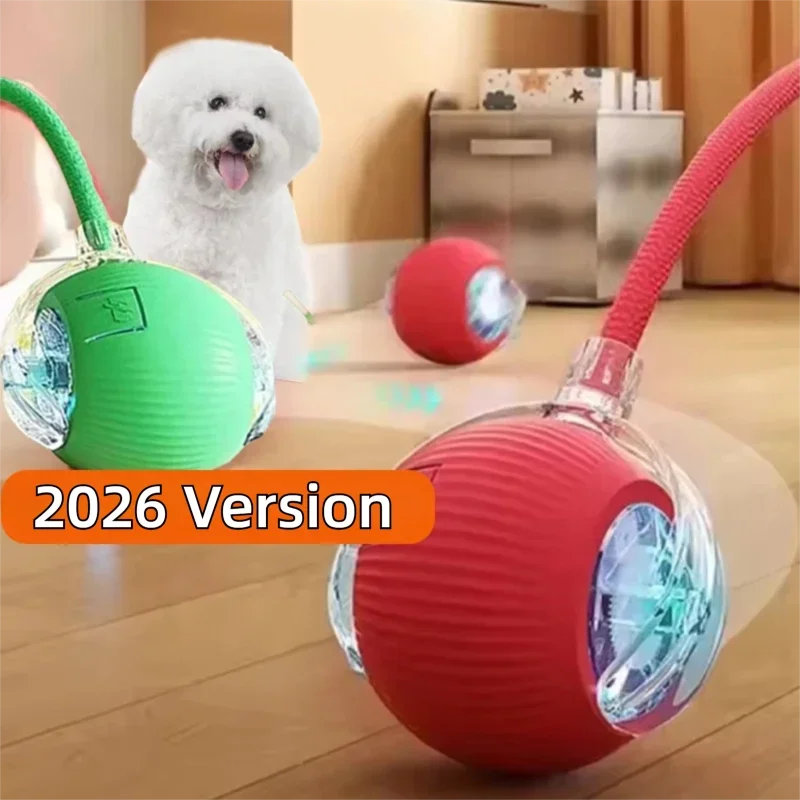 Balle Interactive Automatique Chien & Chat | Rechargeable USB-C, 3 Modes, Plastique & Silicone – CLEVI Paris