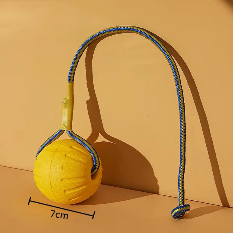 Ensemble de jouets pour chien – CLEVI Paris